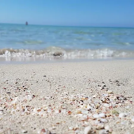 Trilo Da Vinci * Lido Marini